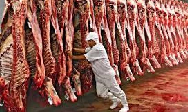 Exportações de carne bovina batem recorde em fevereiro com 219 mil toneladas.