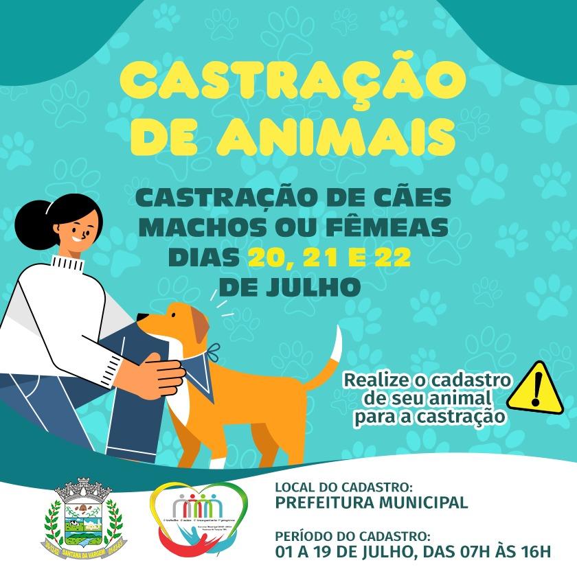 Santana da Vargem/MG, realizará castração de 300 animais.