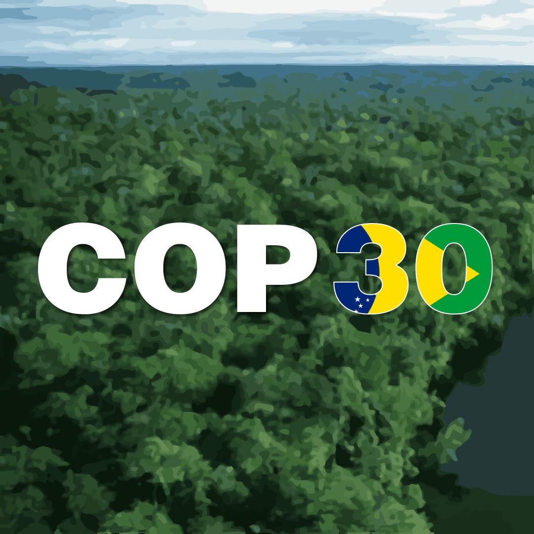 COP30 em Belém: entenda o papel do Brasil e da Amazônia na agenda climática.